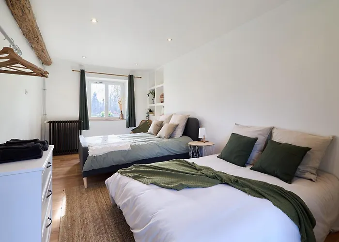 Le Moulin Saint-nicolas * Maizy